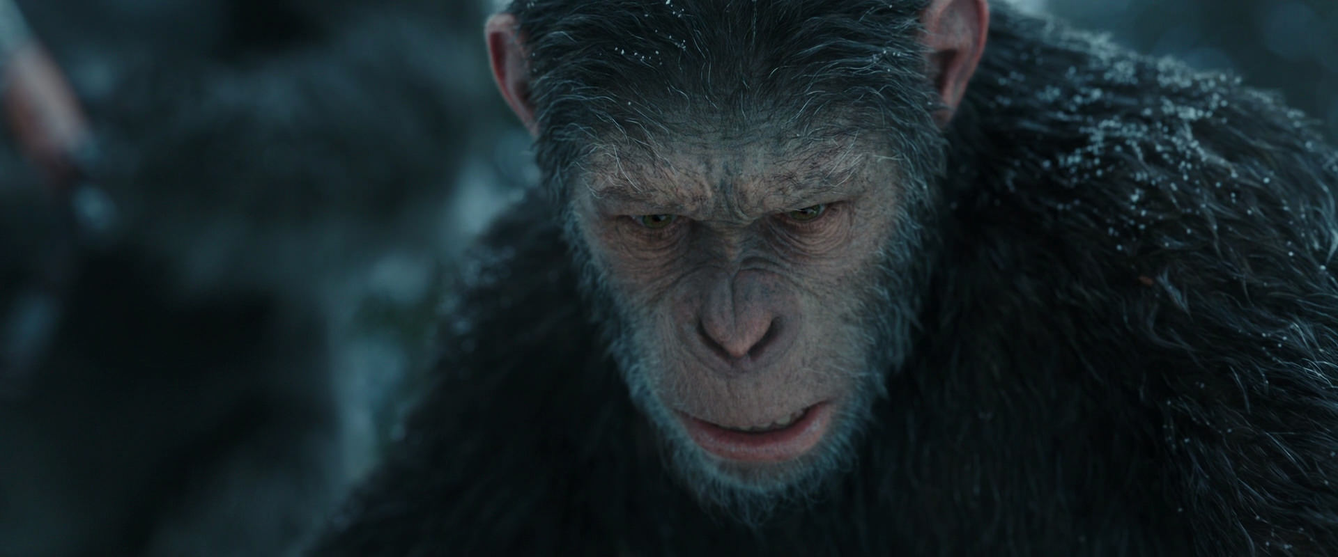 War for the Planet of the Apes (2017) HD screenshot 4727