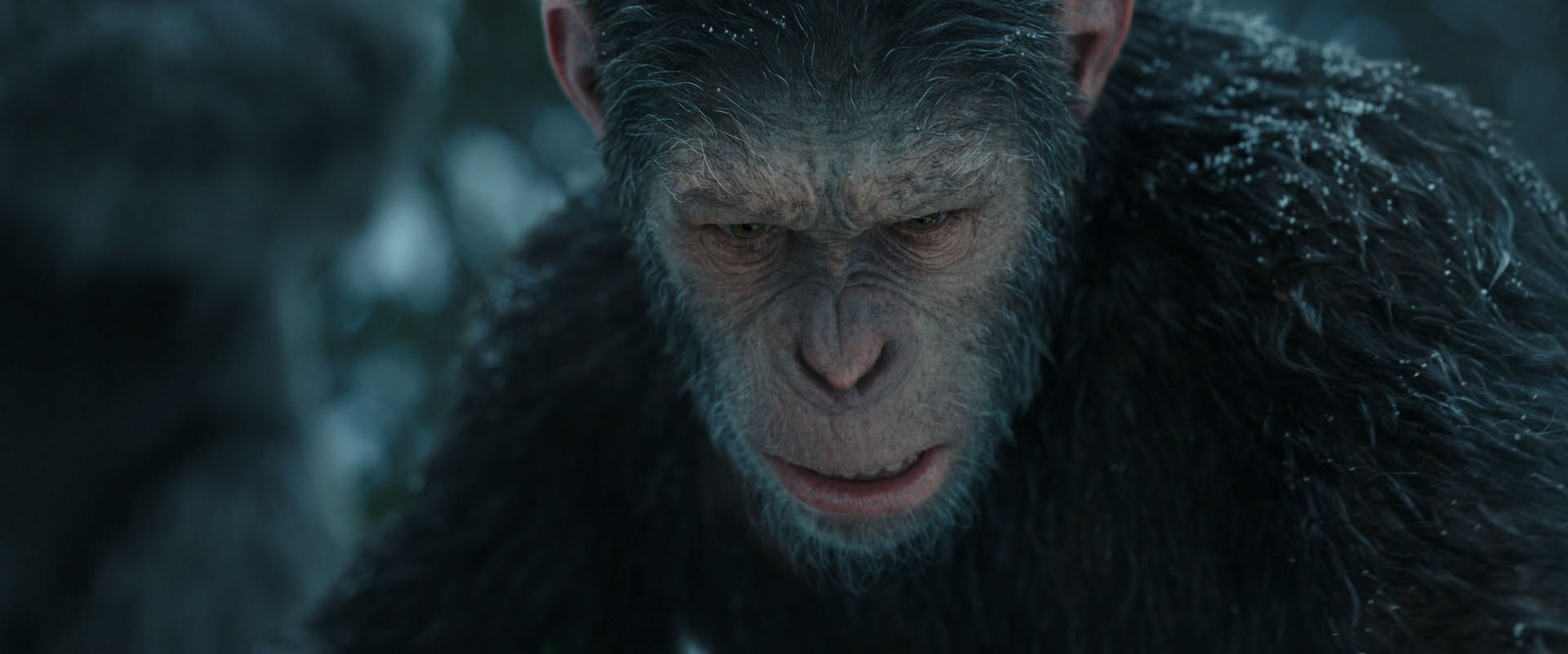 War for the Planet of the Apes (2017) screencap 4728