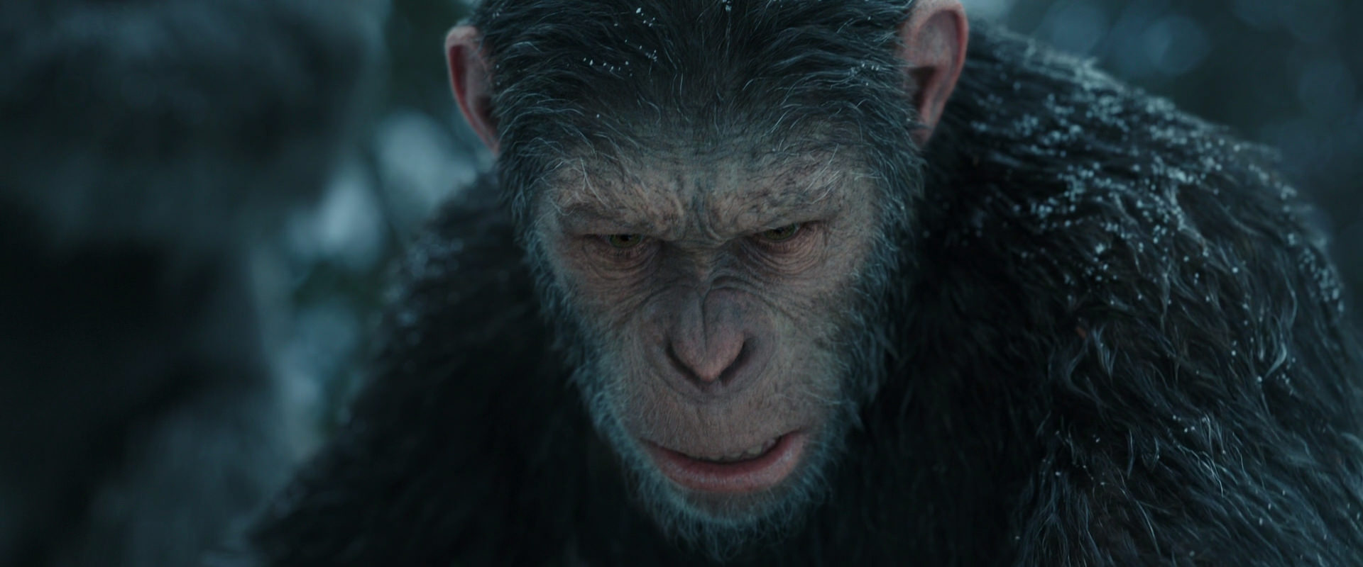 War for the Planet of the Apes (2017) movie still 4729