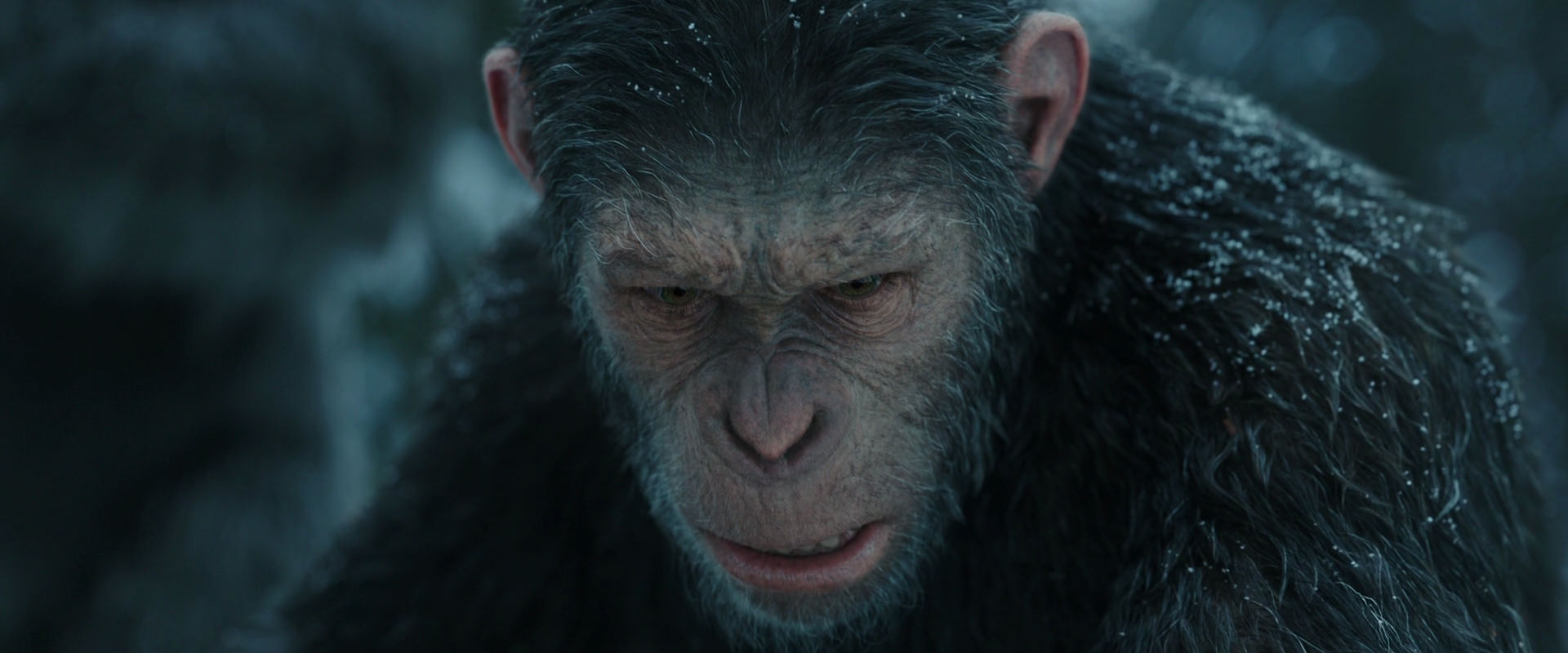 War for the Planet of the Apes (2017) HD screenshot 4730