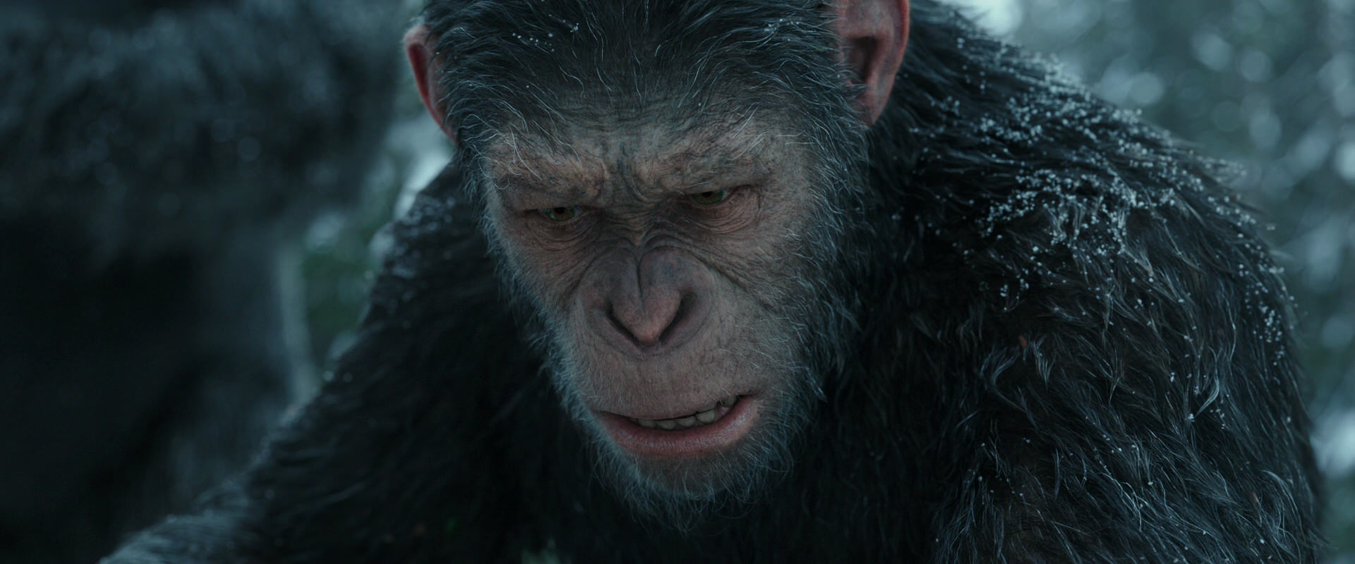 War for the Planet of the Apes (2017) screencap 4749