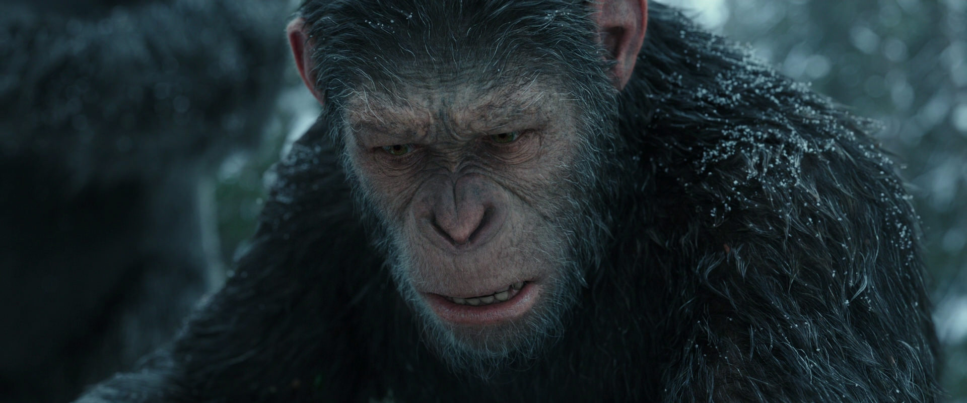 War for the Planet of the Apes (2017) movie still 4750