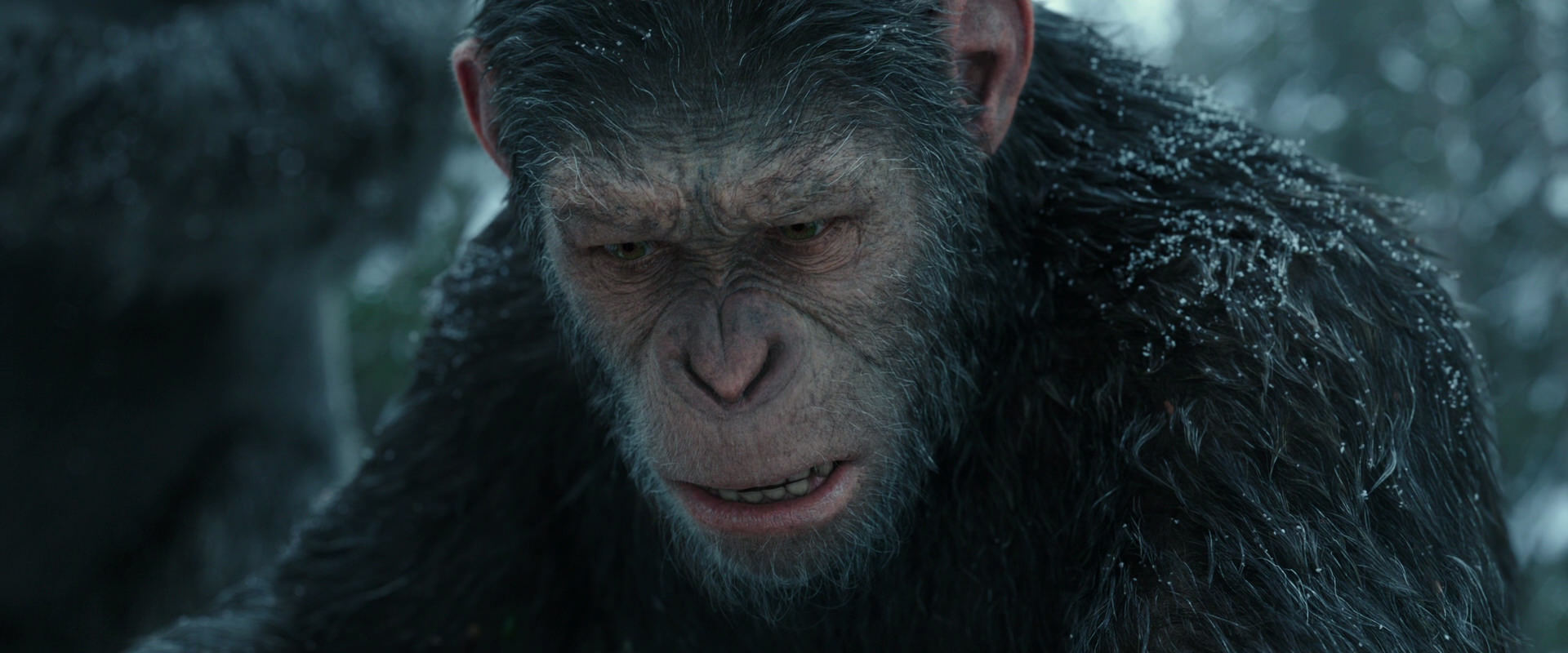 War for the Planet of the Apes (2017) HD screenshot 4751