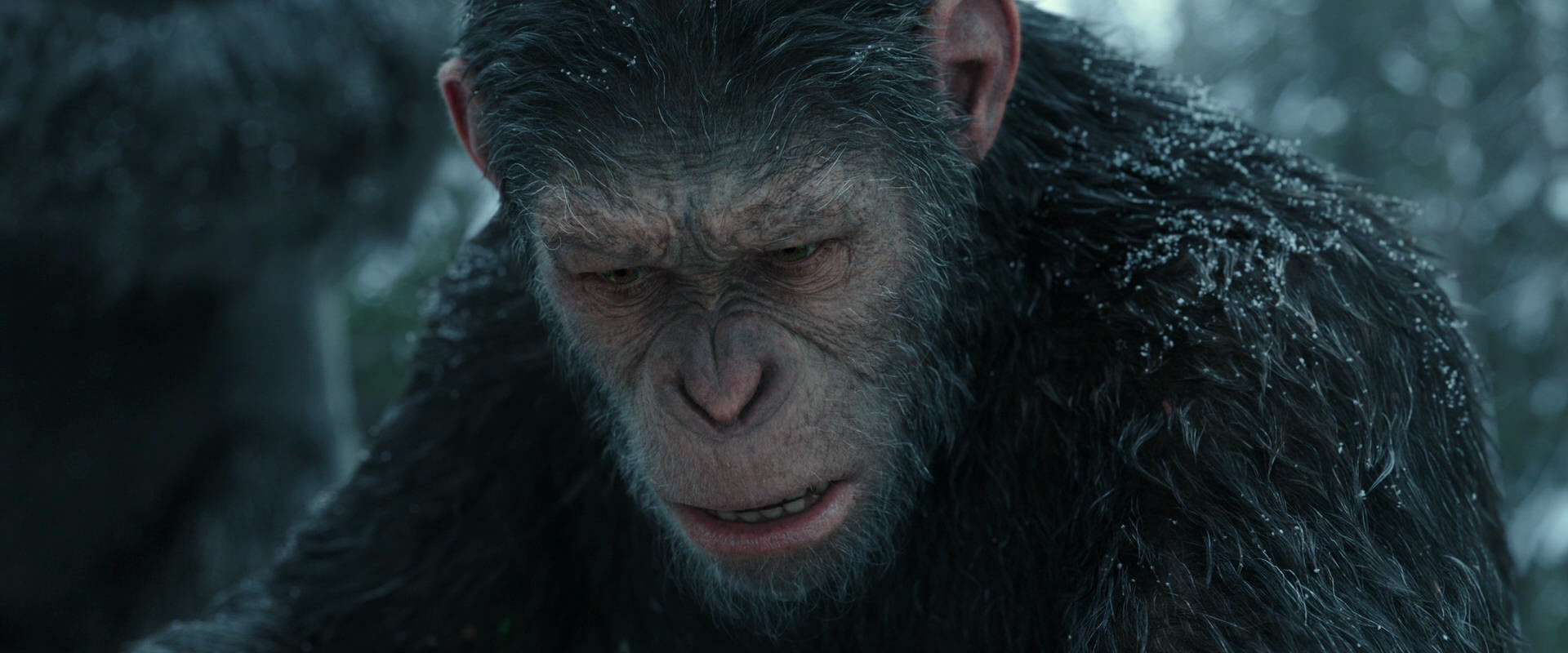 War for the Planet of the Apes (2017) screencap 4752