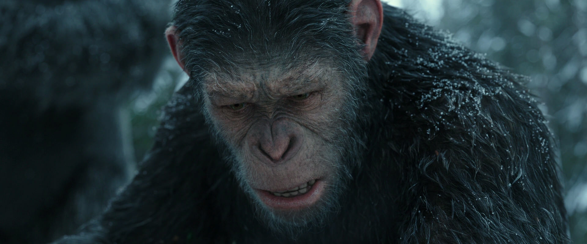 War for the Planet of the Apes (2017) movie still 4753