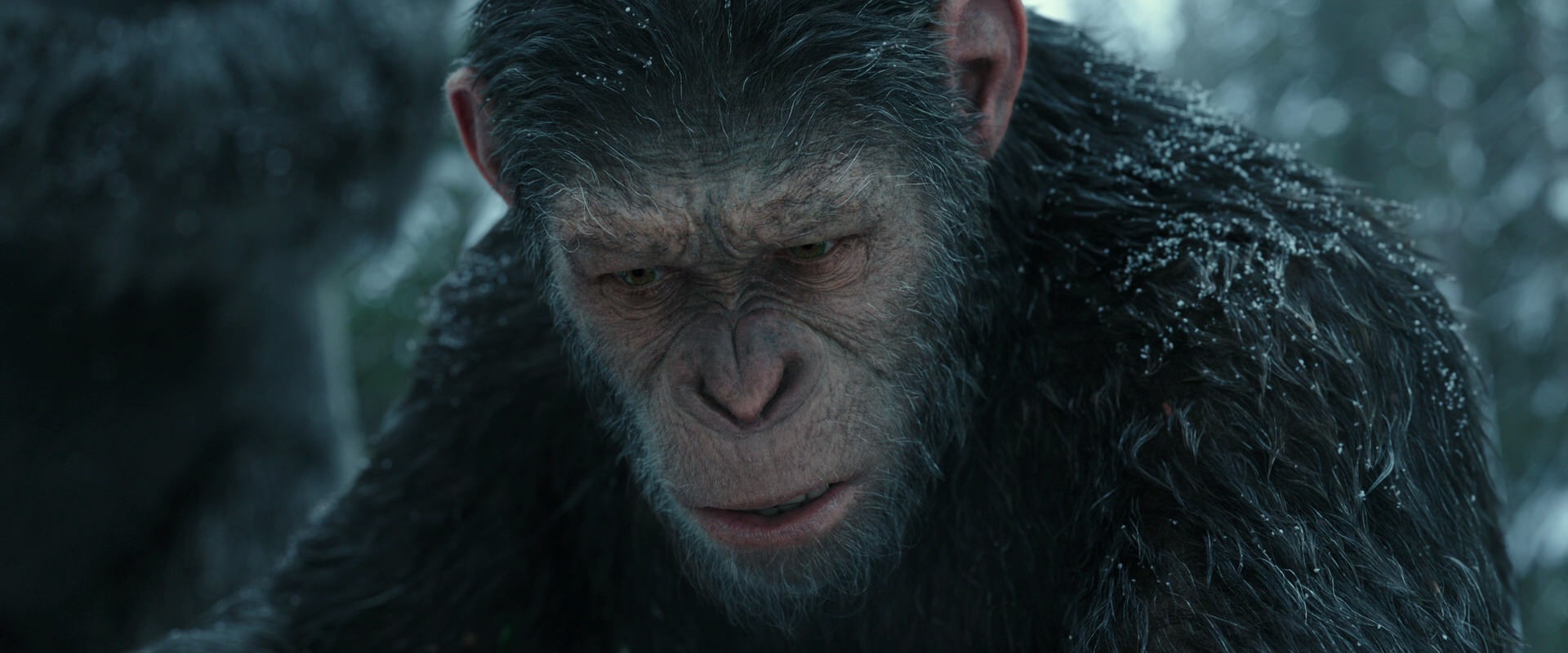 War for the Planet of the Apes (2017) HD screenshot 4754