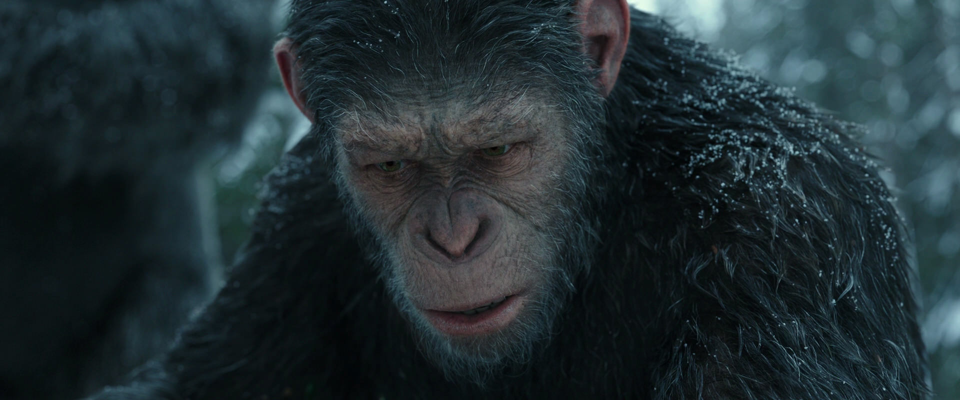 War for the Planet of the Apes (2017) screencap 4755