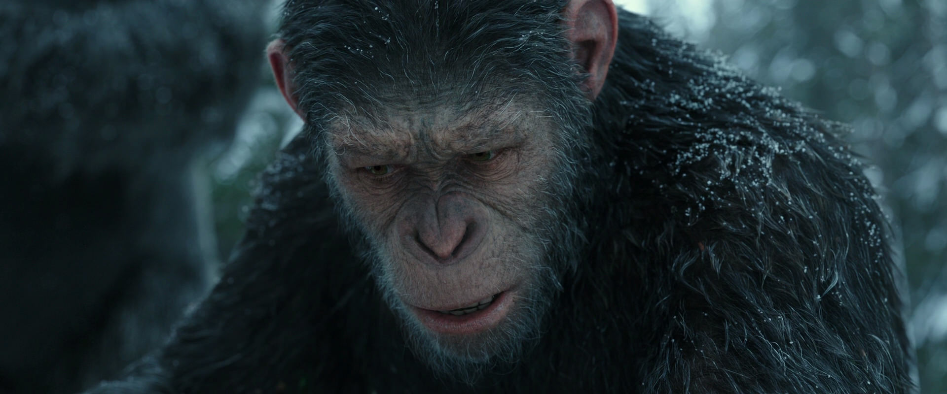 War for the Planet of the Apes (2017) movie still 4756