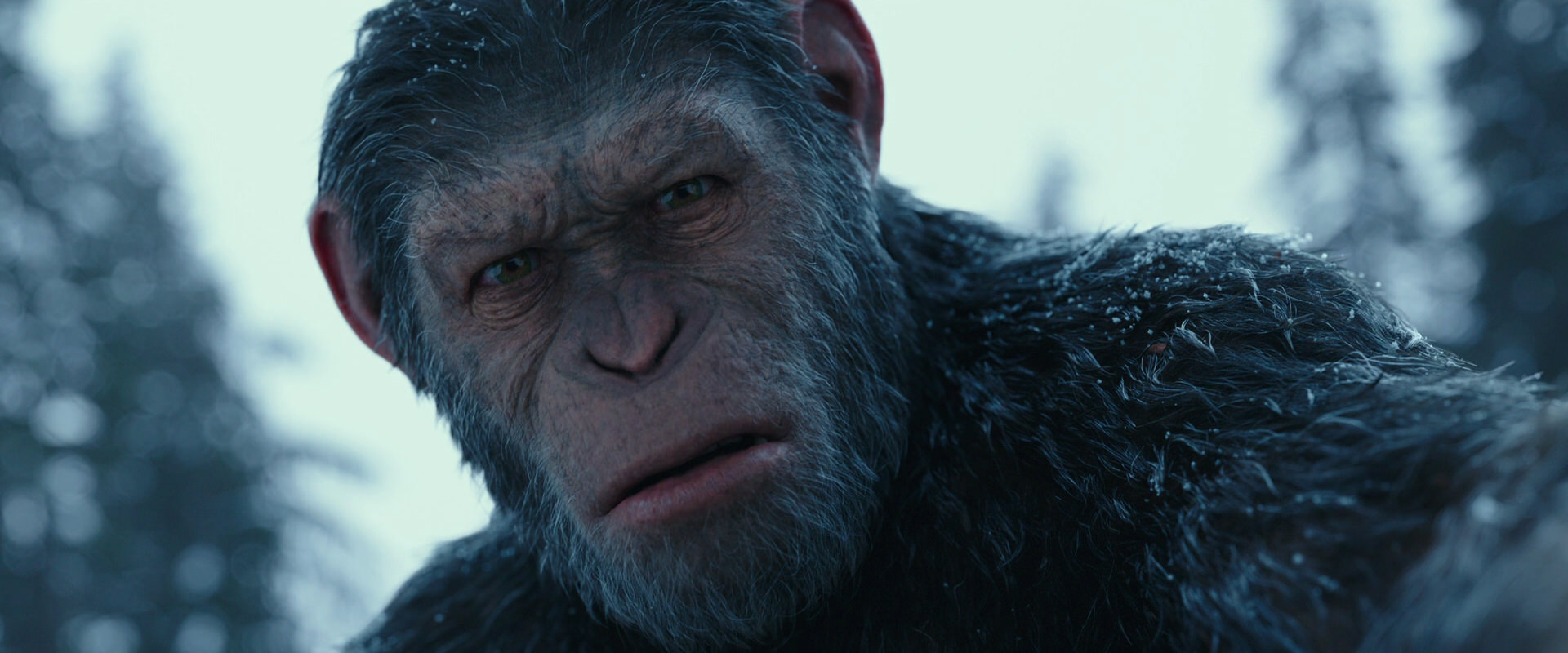 War for the Planet of the Apes (2017) HD screenshot 4766