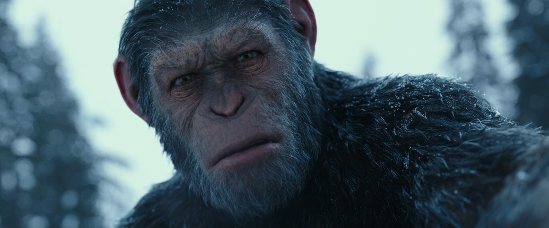 War for the Planet of the Apes (2017) screencap 4767