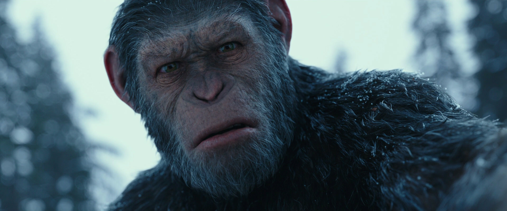 War for the Planet of the Apes (2017) movie still 4768