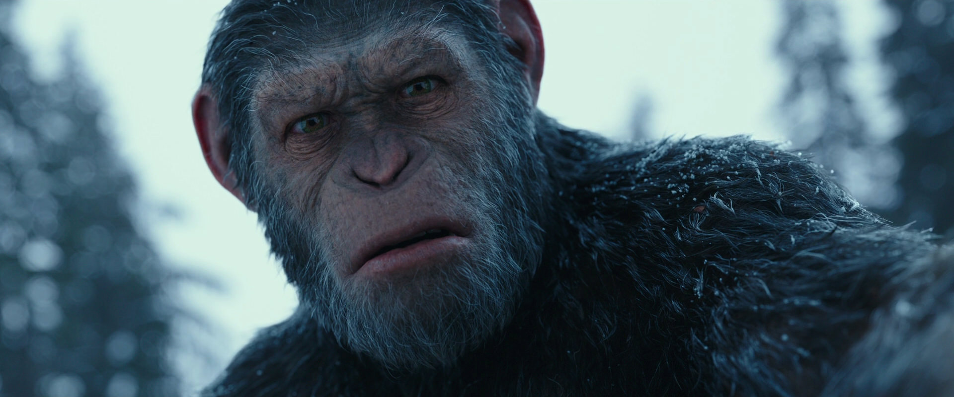 War for the Planet of the Apes (2017) HD screenshot 4769