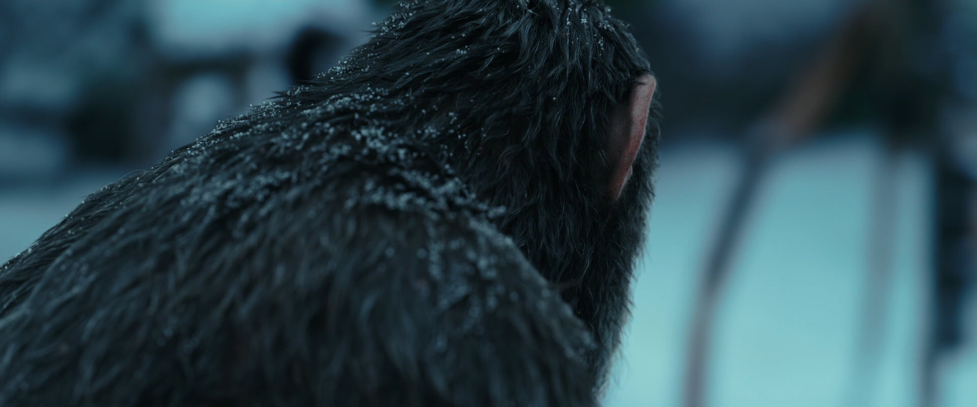 War for the Planet of the Apes (2017) movie still 4774