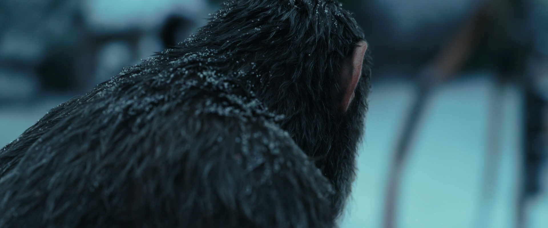 War for the Planet of the Apes (2017) HD screenshot 4775