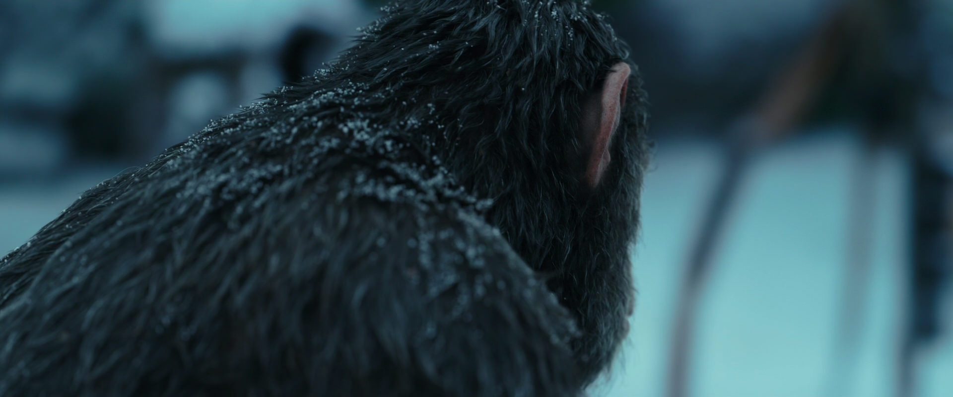 War for the Planet of the Apes (2017) screencap 4776