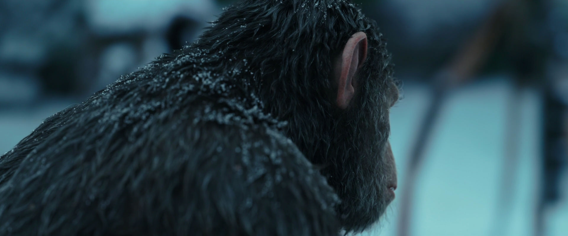 War for the Planet of the Apes (2017) movie still 4777