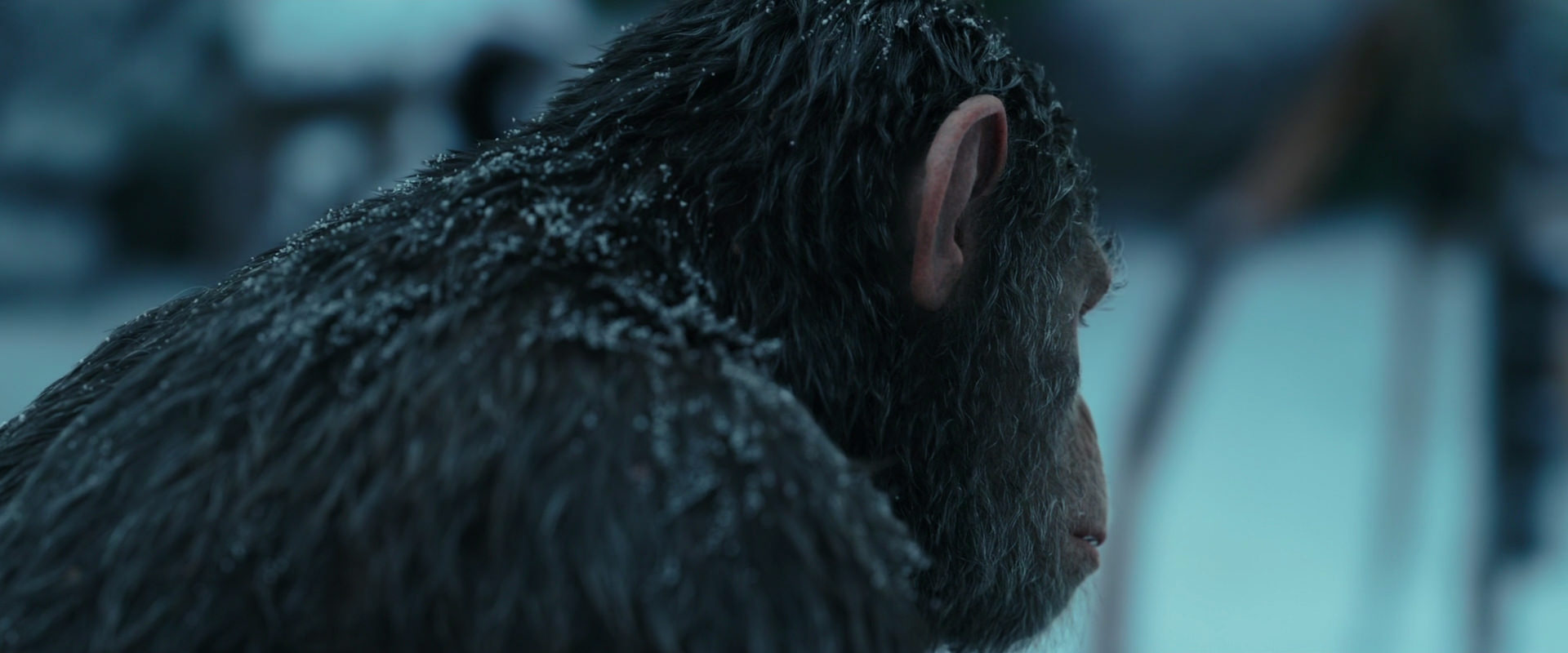 War for the Planet of the Apes (2017) HD screenshot 4778