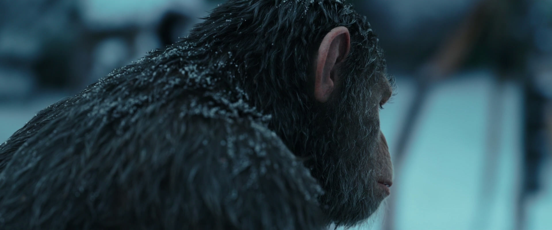 War for the Planet of the Apes (2017) screencap 4779