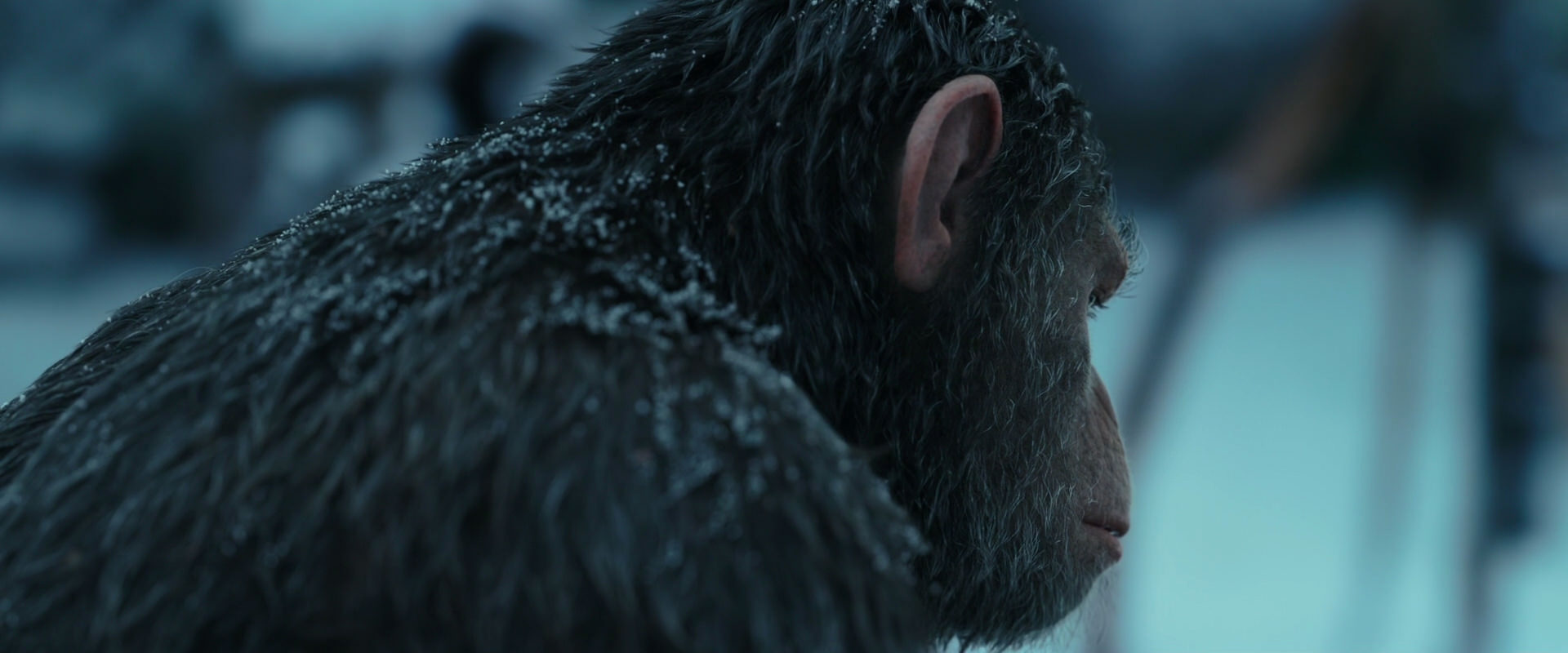 War for the Planet of the Apes (2017) movie still 4780