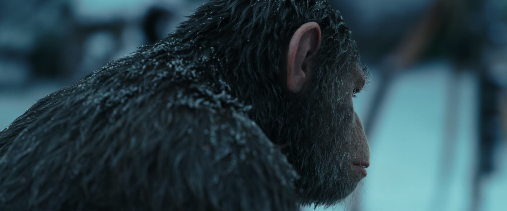War for the Planet of the Apes (2017) HD screenshot 4781