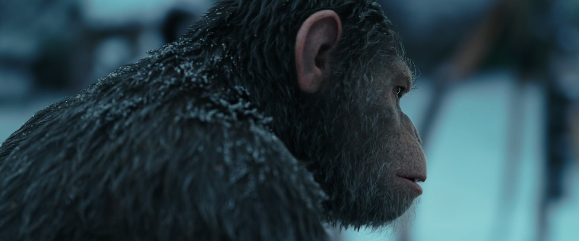 War for the Planet of the Apes (2017) screencap 4782