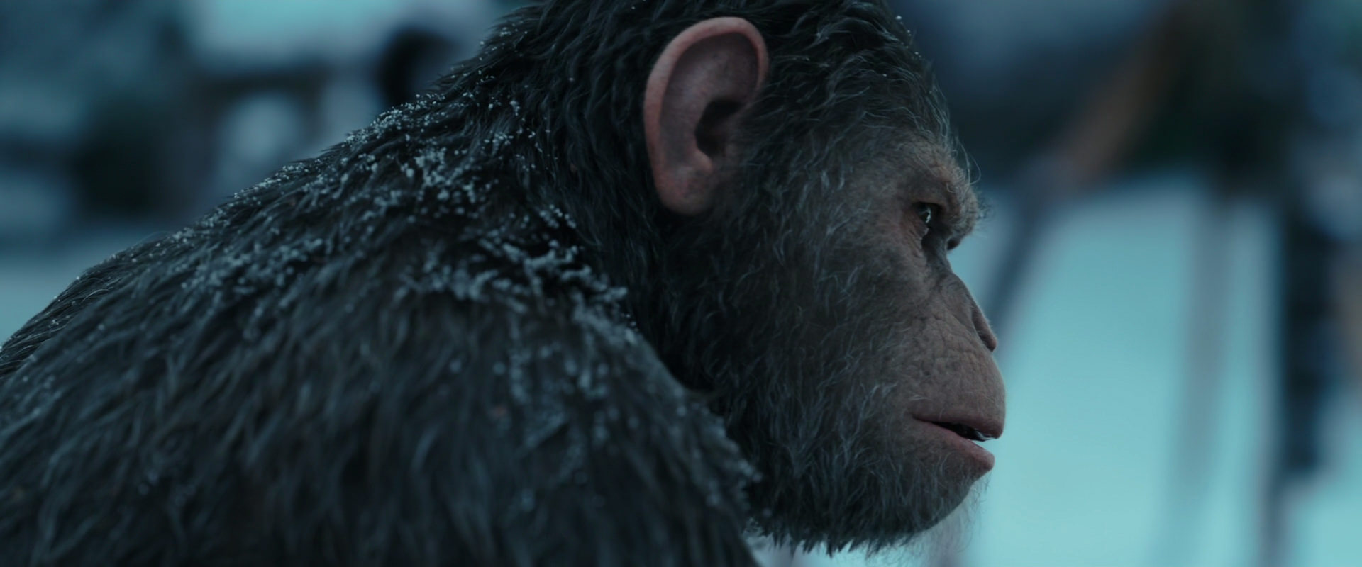 War for the Planet of the Apes (2017) movie still 4783