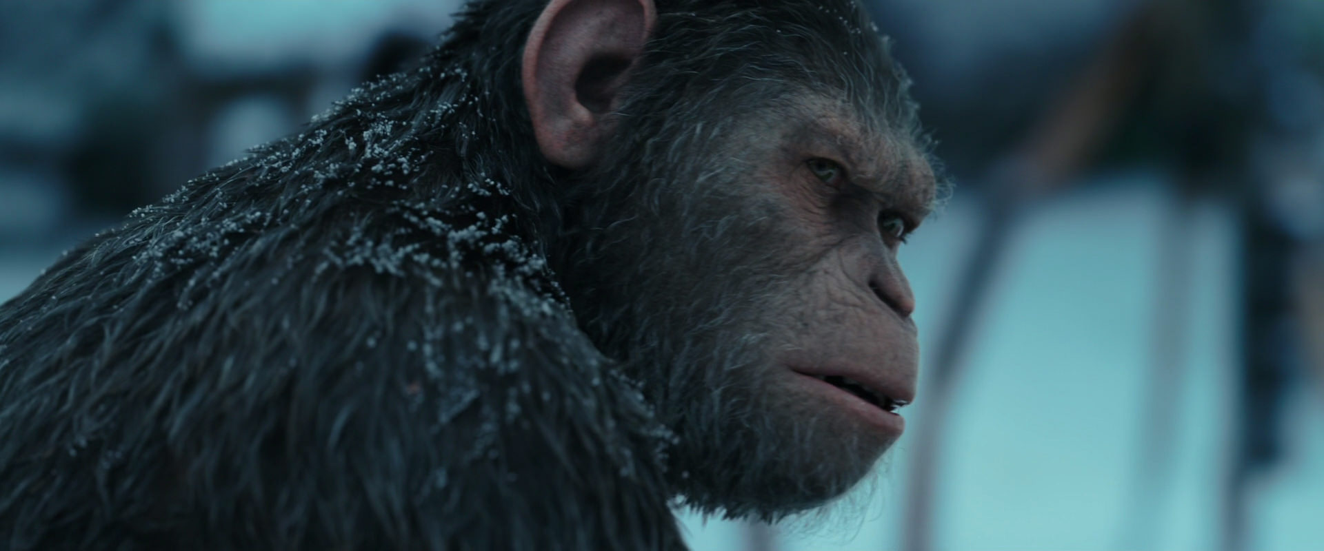 War for the Planet of the Apes (2017) HD screenshot 4784