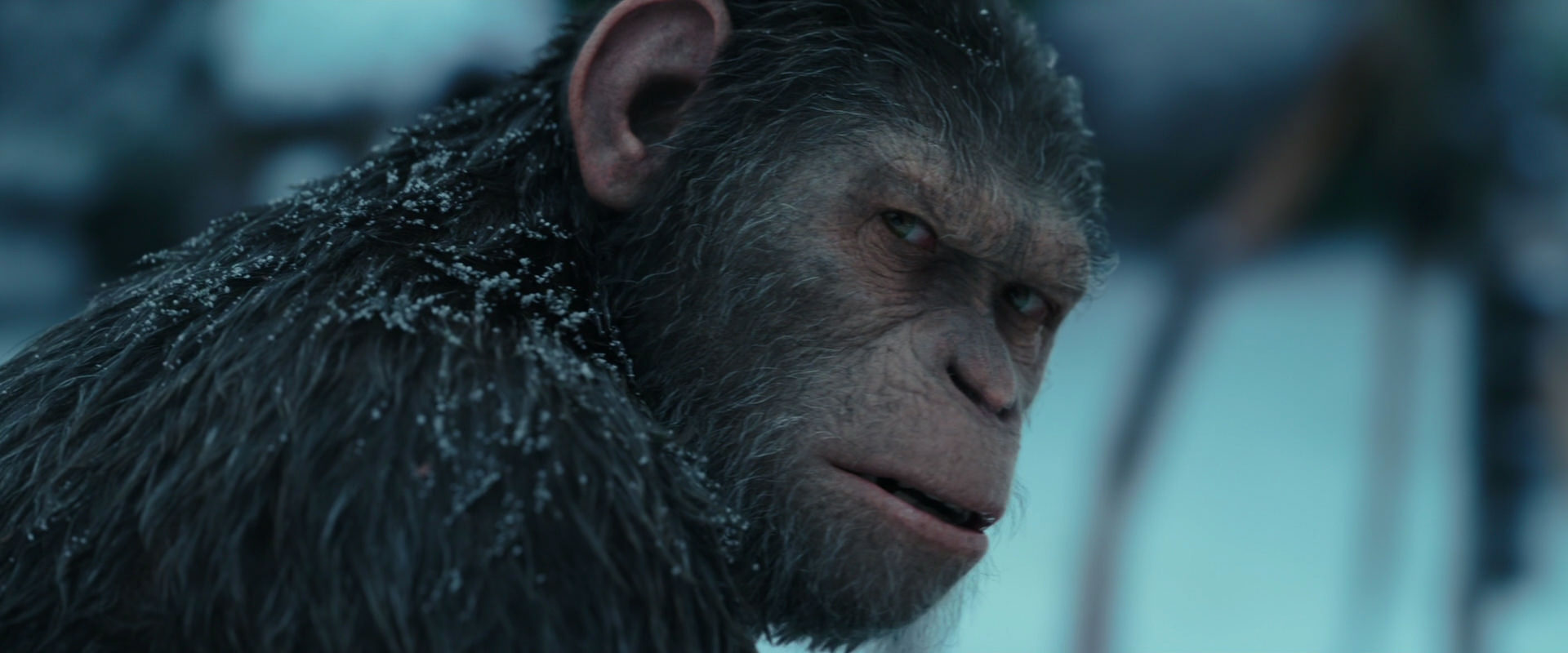 War for the Planet of the Apes (2017) screencap 4785