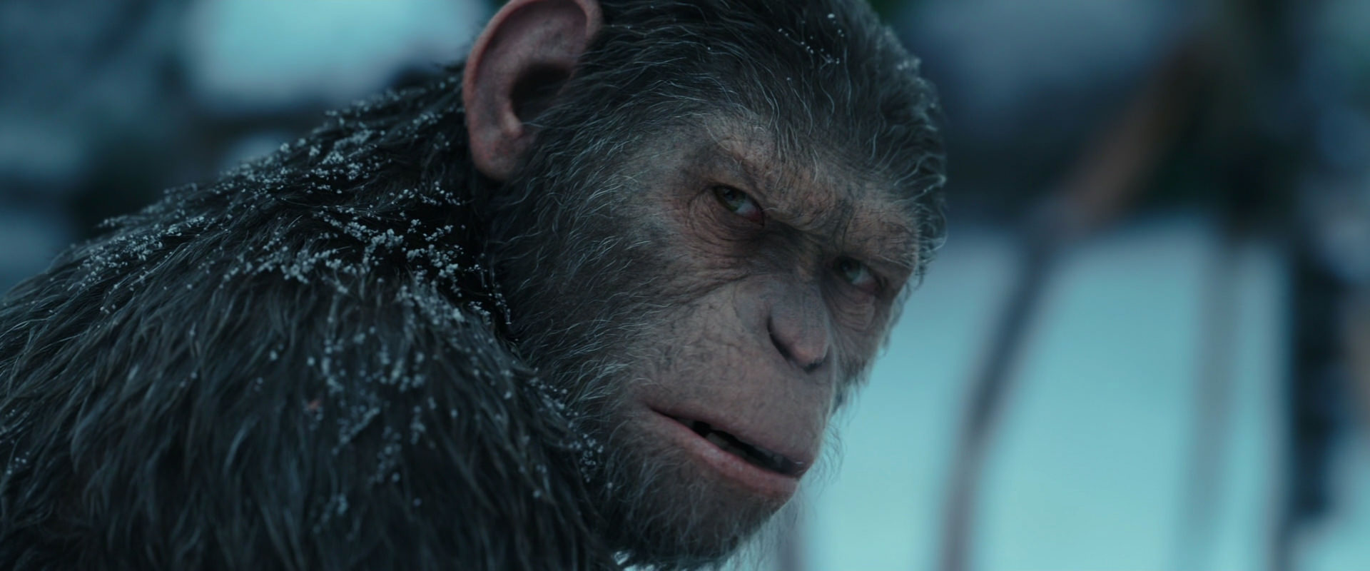 War for the Planet of the Apes (2017) movie still 4786
