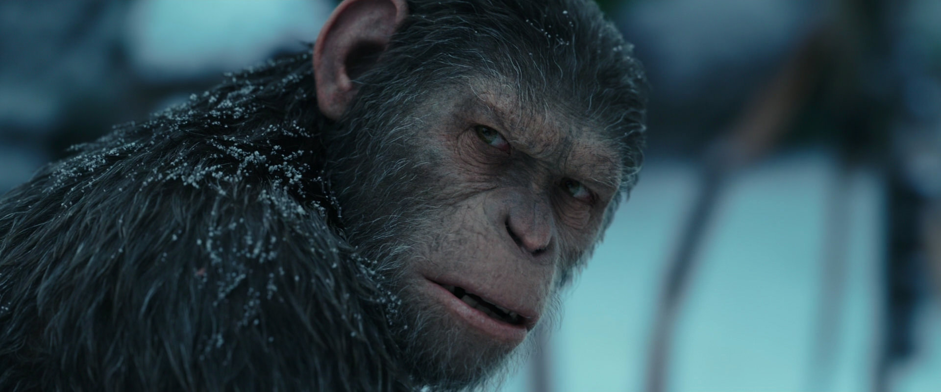 War for the Planet of the Apes (2017) HD screenshot 4787