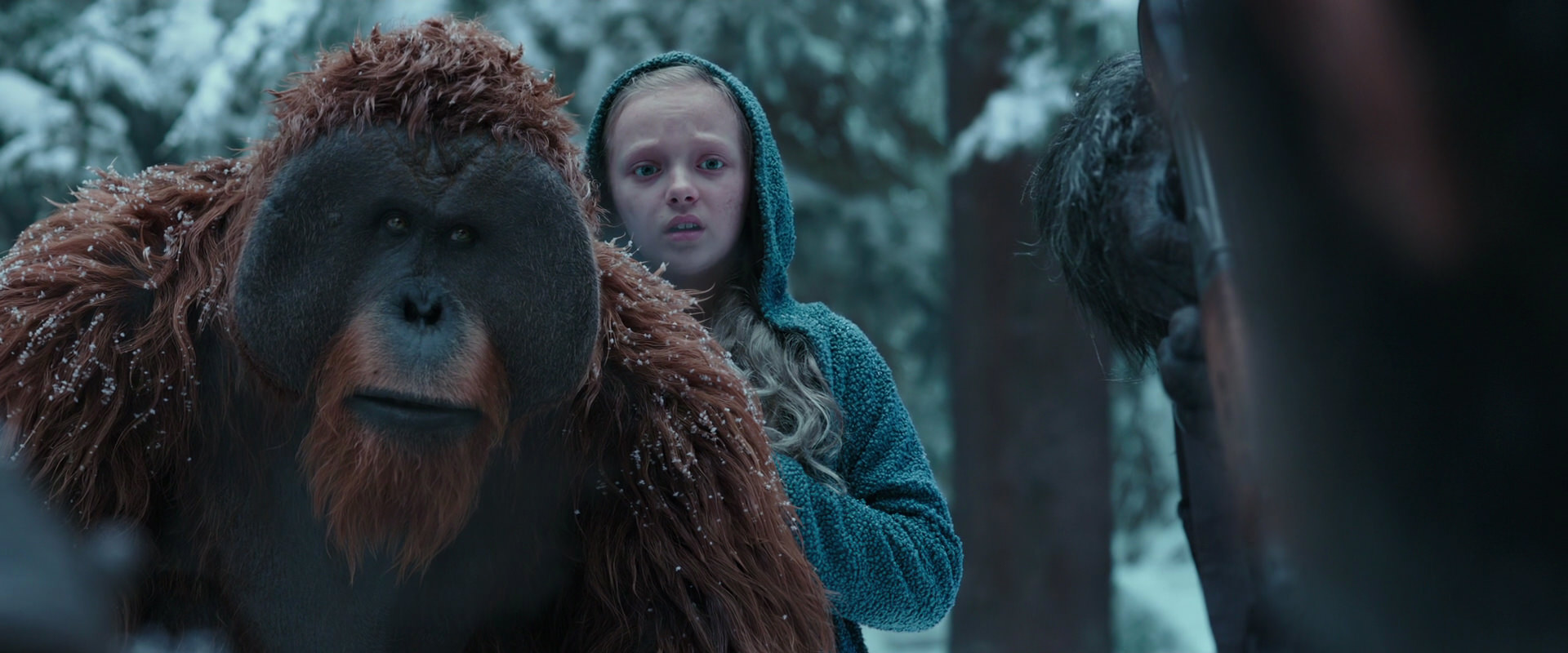 War for the Planet of the Apes (2017) movie still 4789