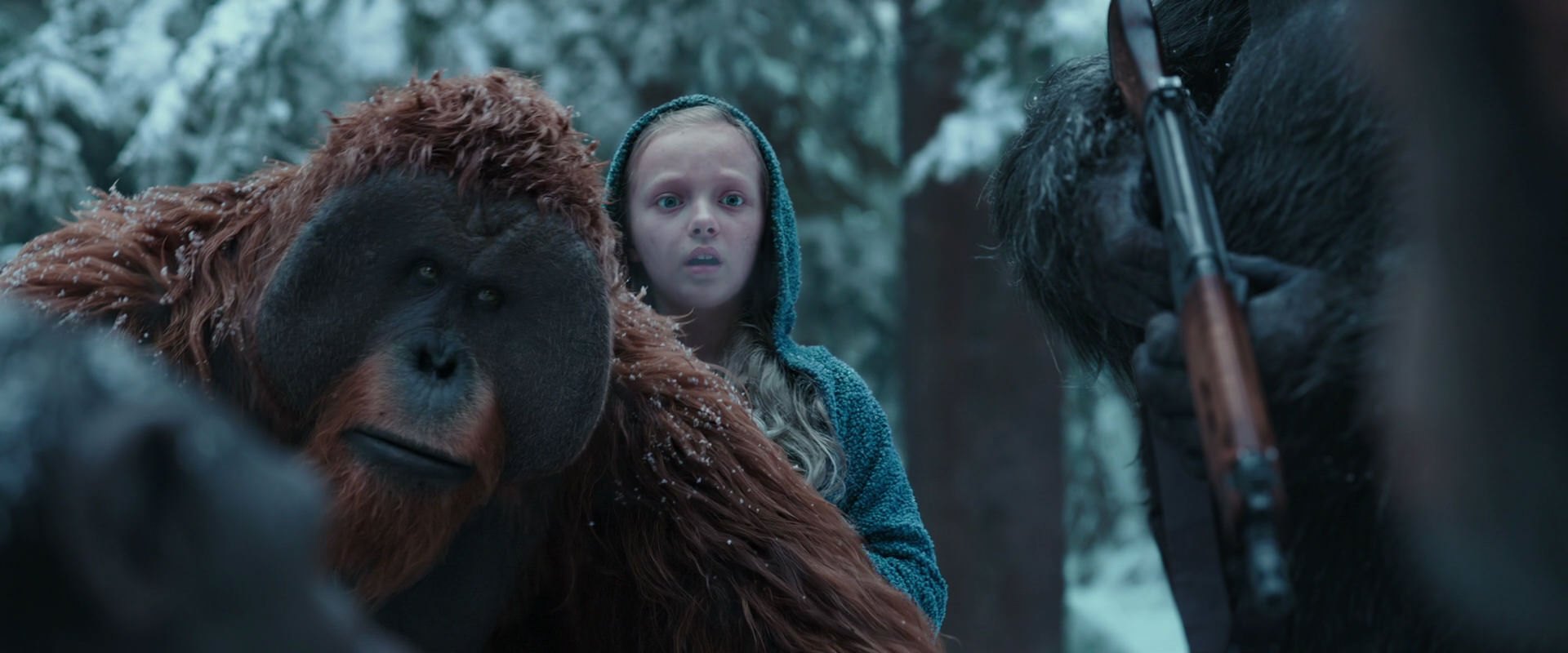 War for the Planet of the Apes (2017) movie still 4801