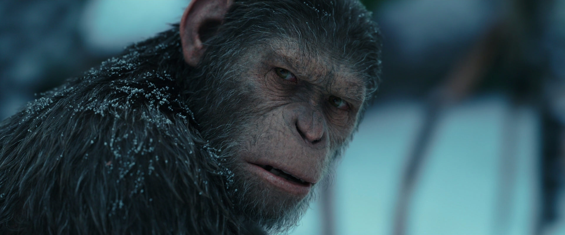 War for the Planet of the Apes (2017) HD screenshot 4805