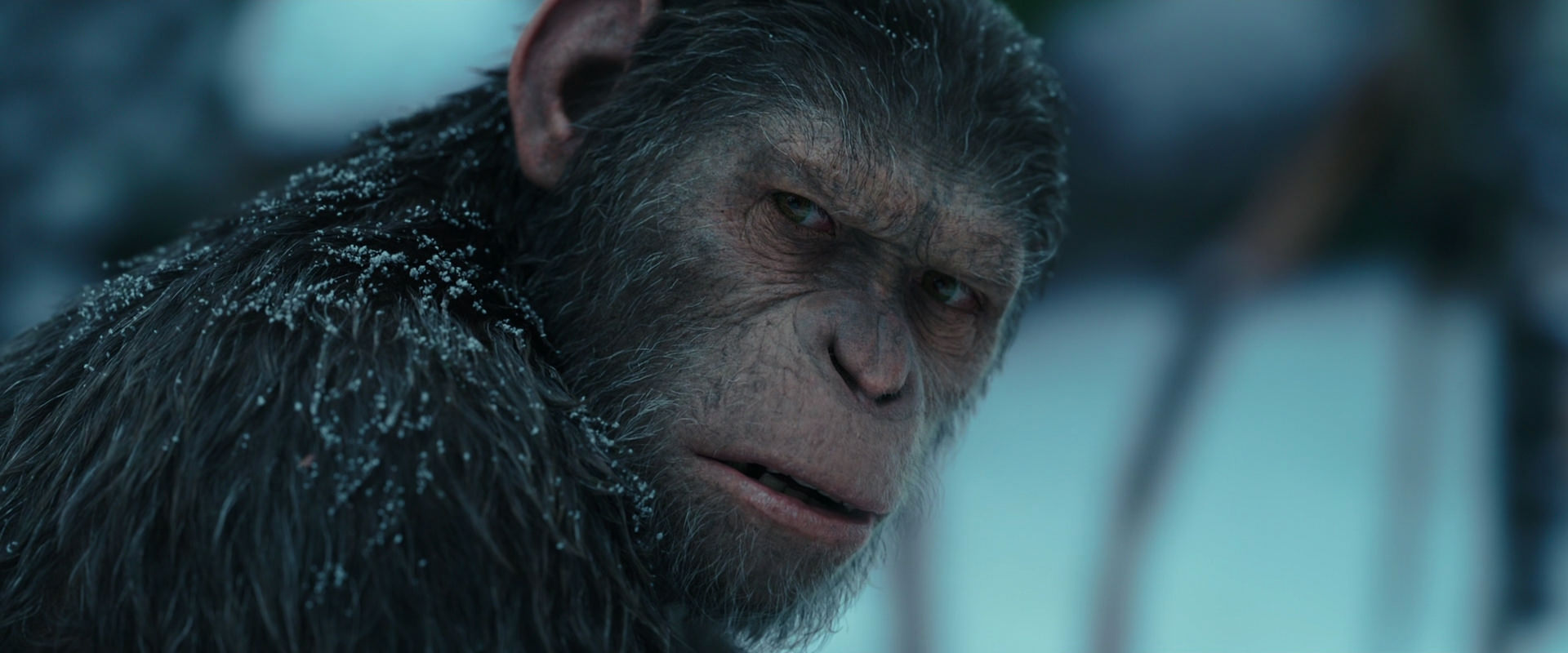 War for the Planet of the Apes (2017) screencap 4806