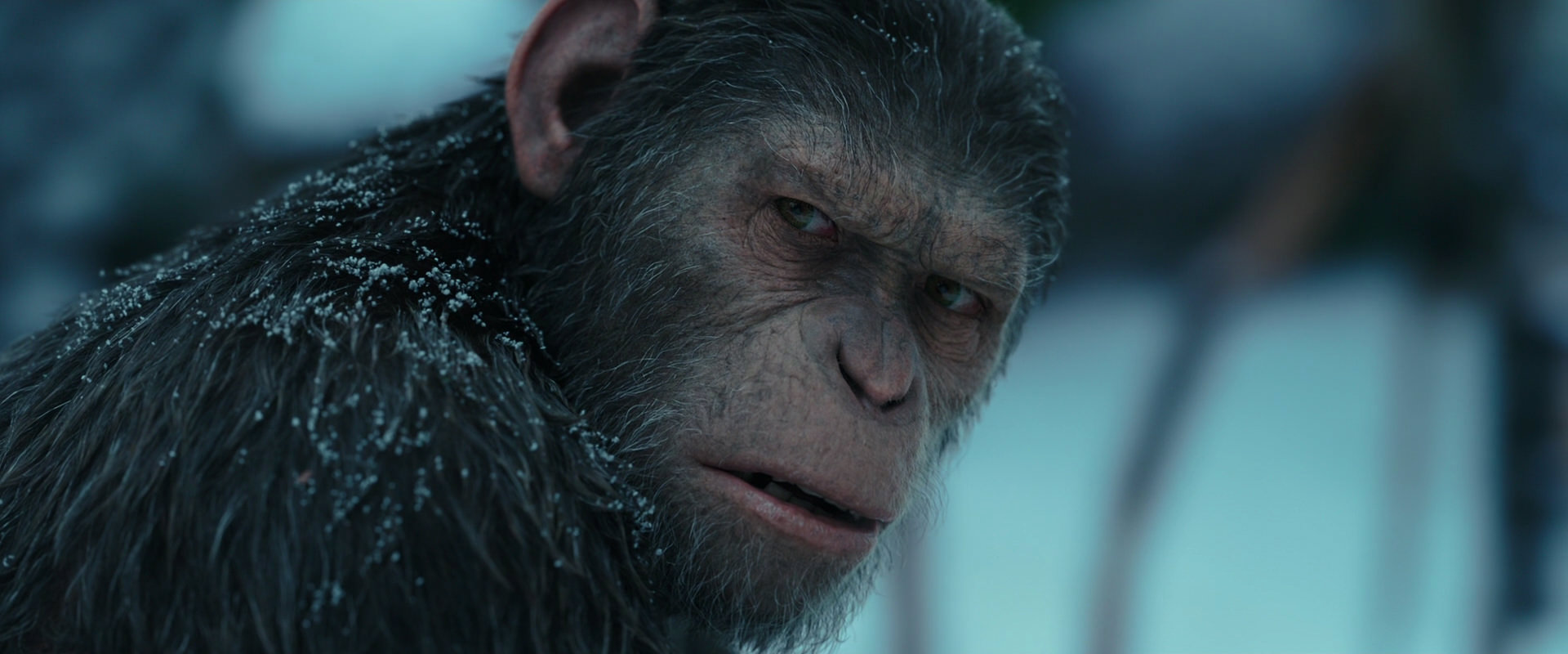 War for the Planet of the Apes (2017) HD screenshot 4808