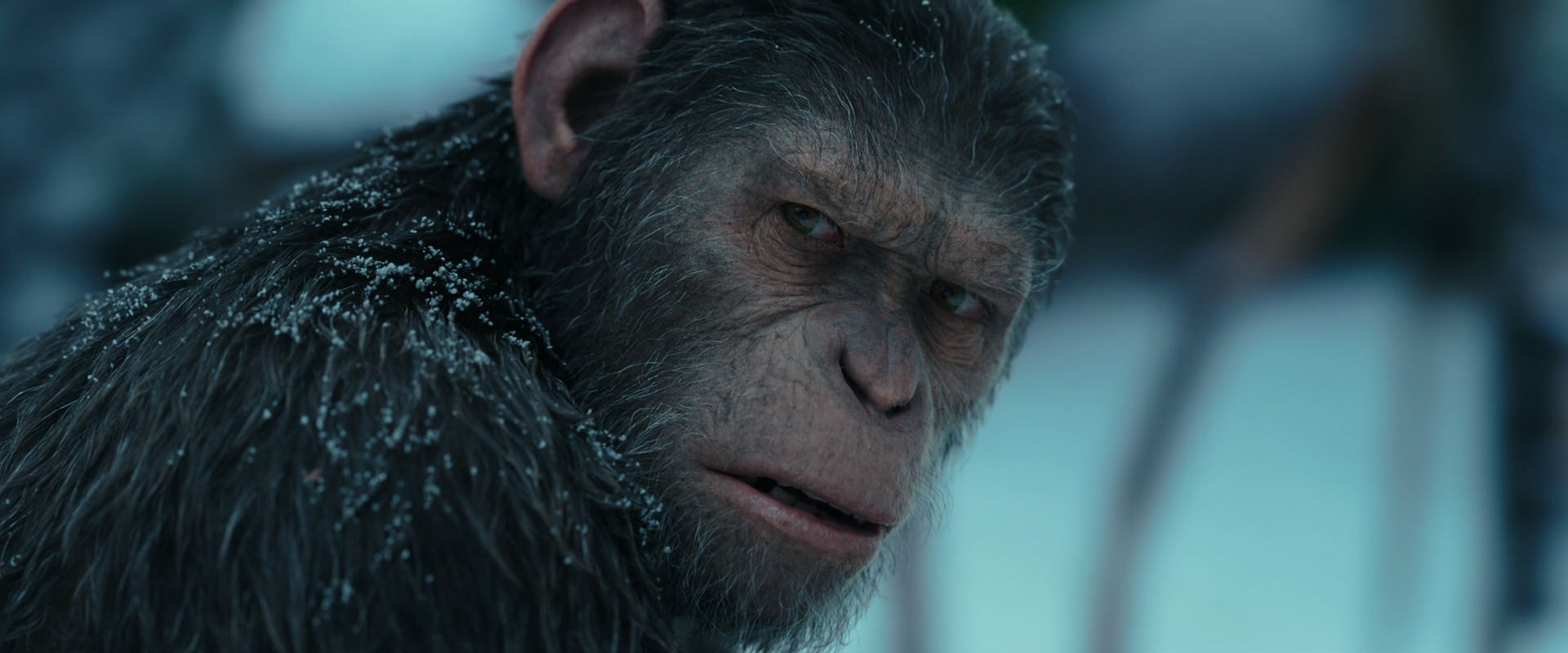 War for the Planet of the Apes (2017) screencap 4809