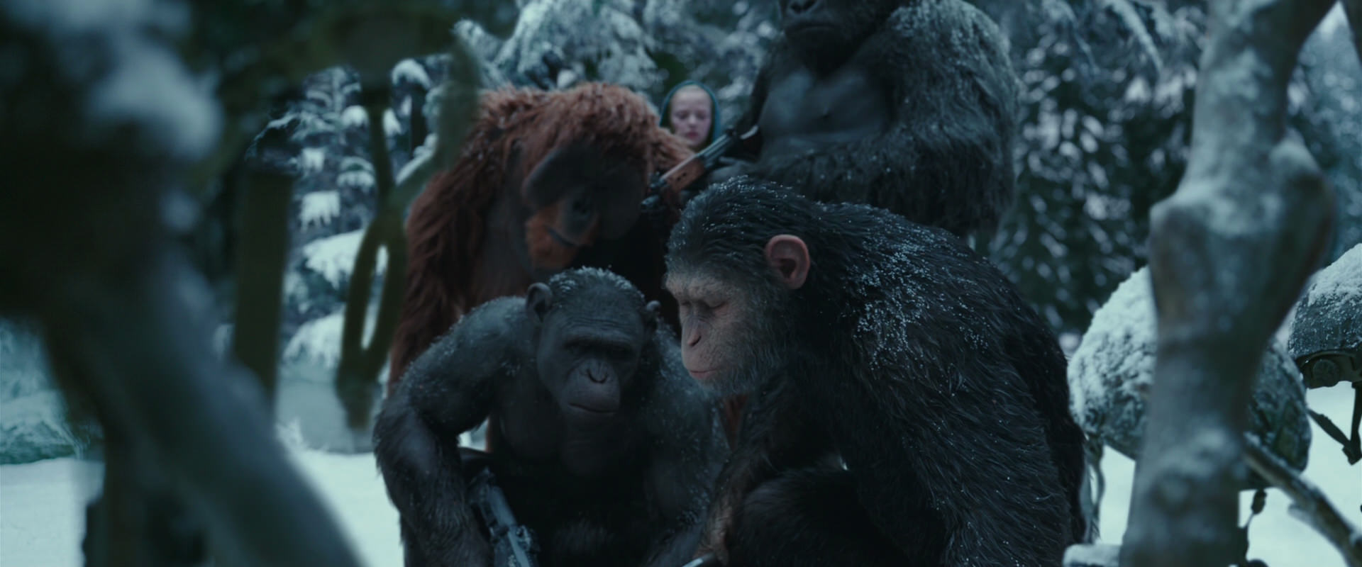 War for the Planet of the Apes (2017) movie still 4837