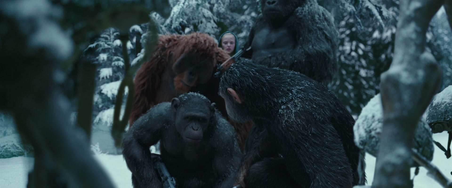 War for the Planet of the Apes (2017) screencap 4839