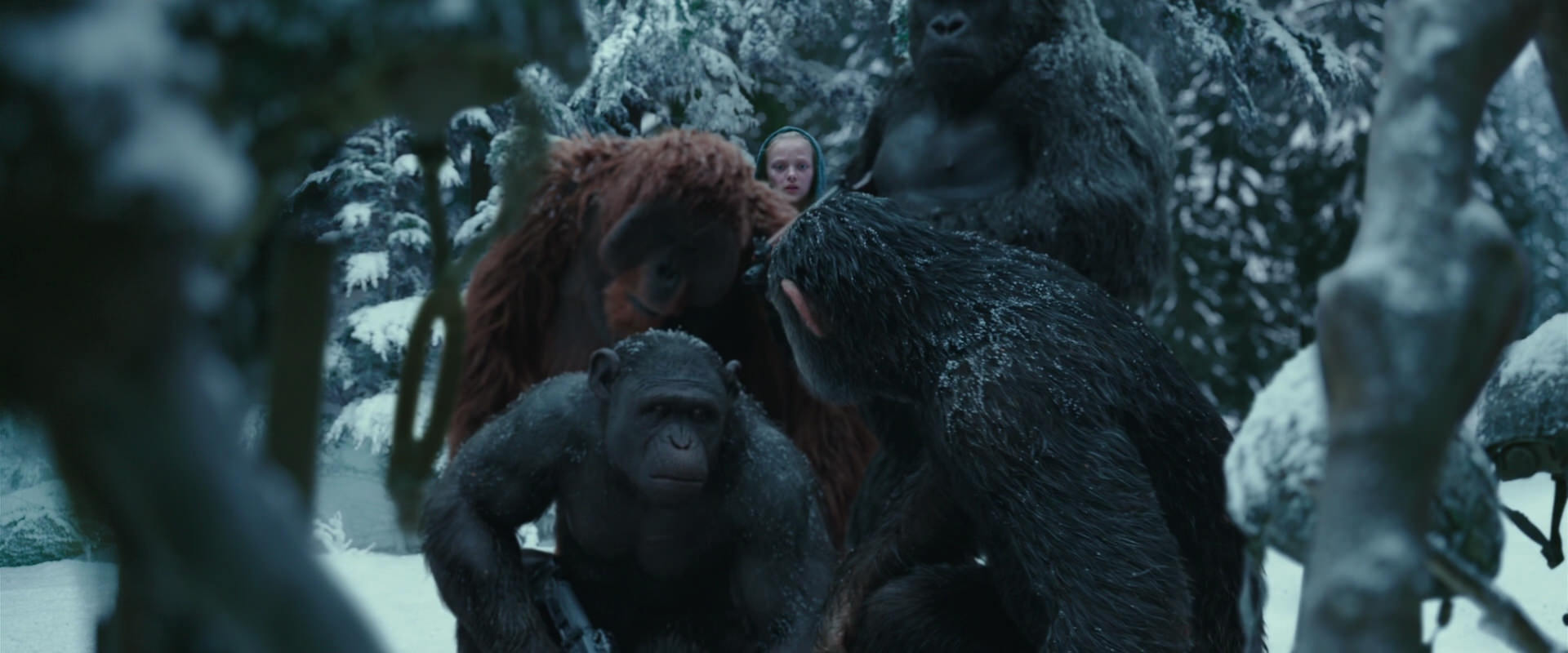 War for the Planet of the Apes (2017) movie still 4840
