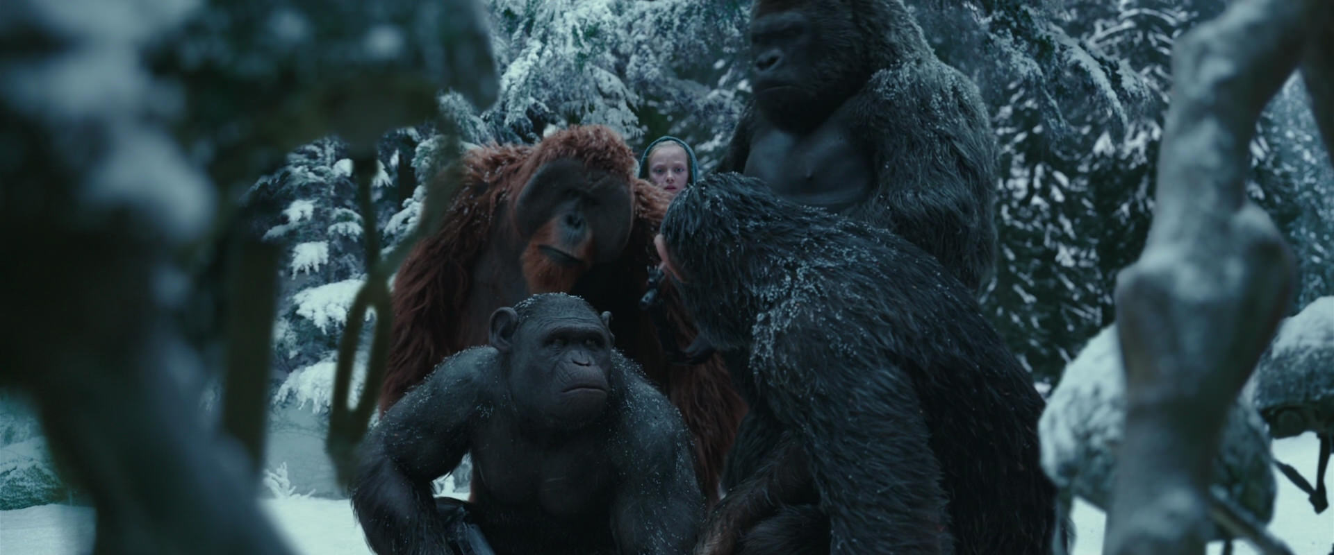 War for the Planet of the Apes (2017) screencap 4842