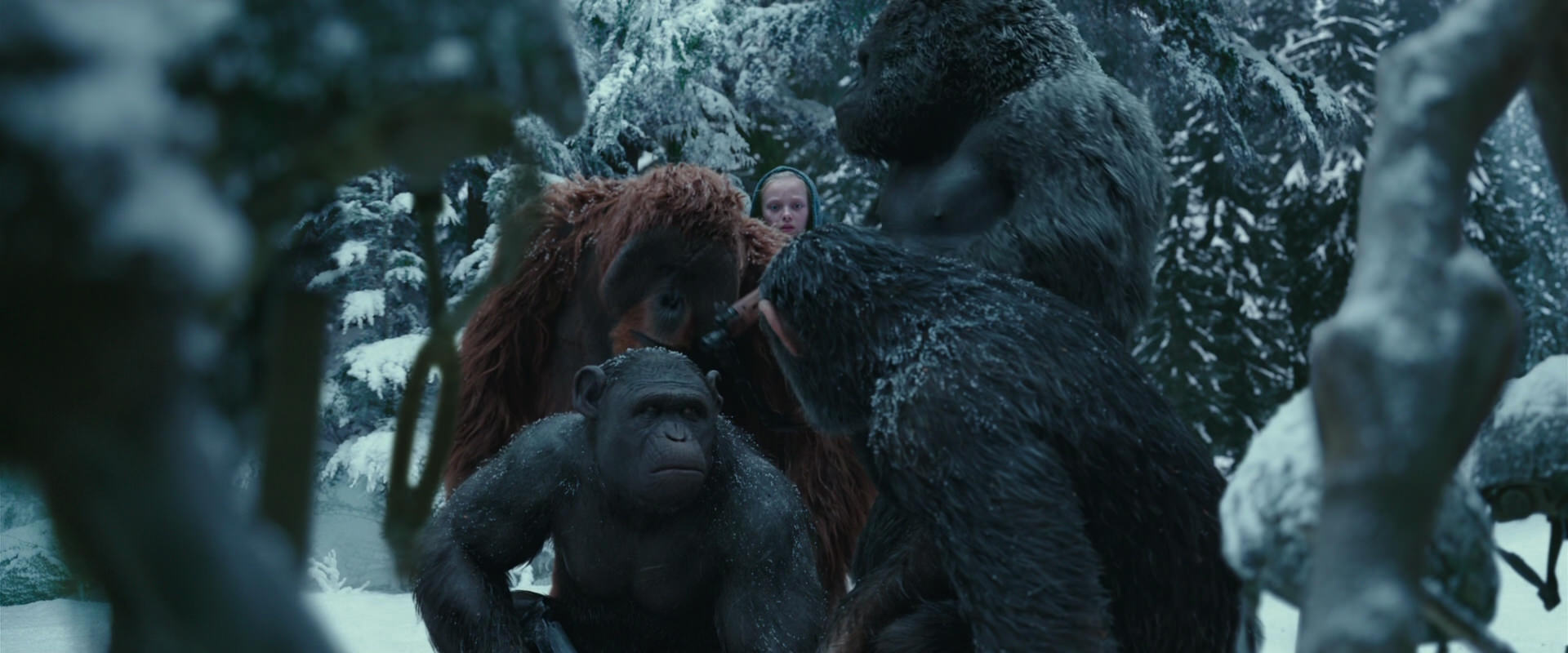 War for the Planet of the Apes (2017) movie still 4843