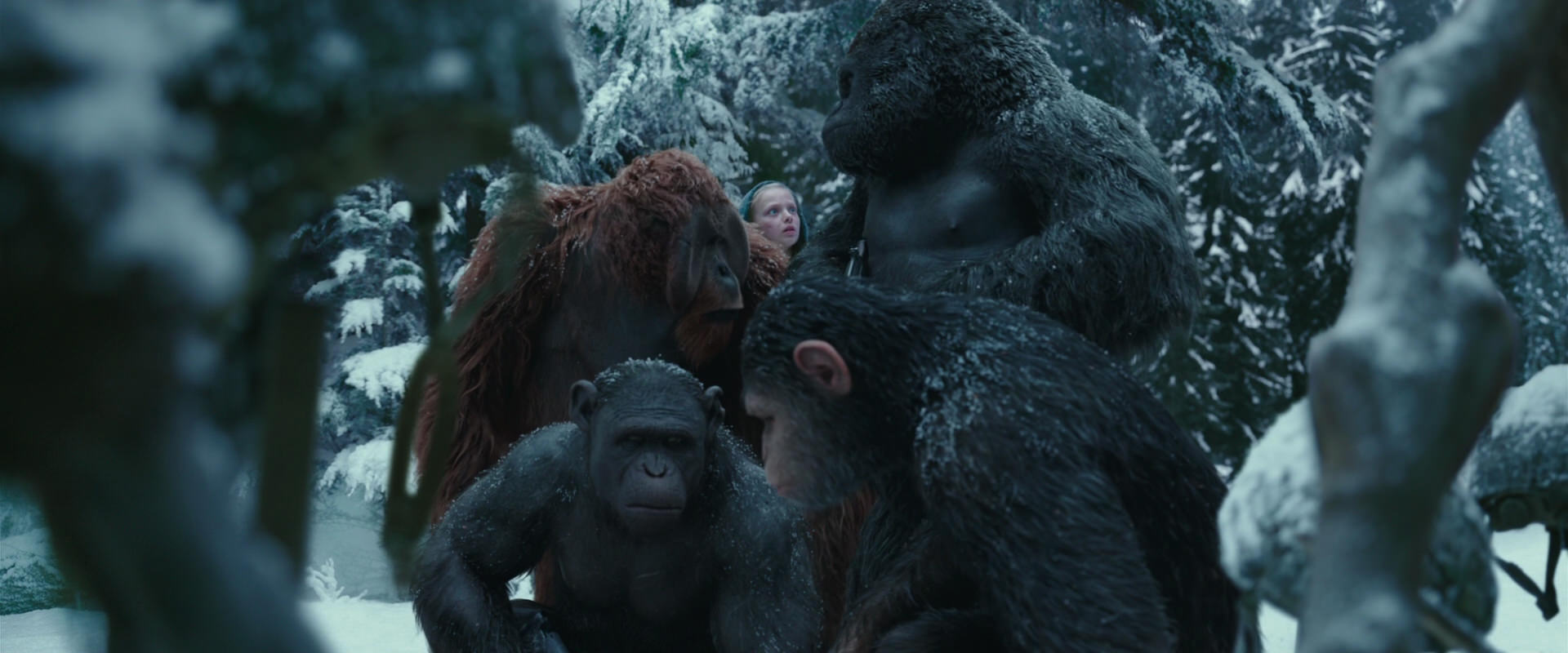 War for the Planet of the Apes (2017) screencap 4845