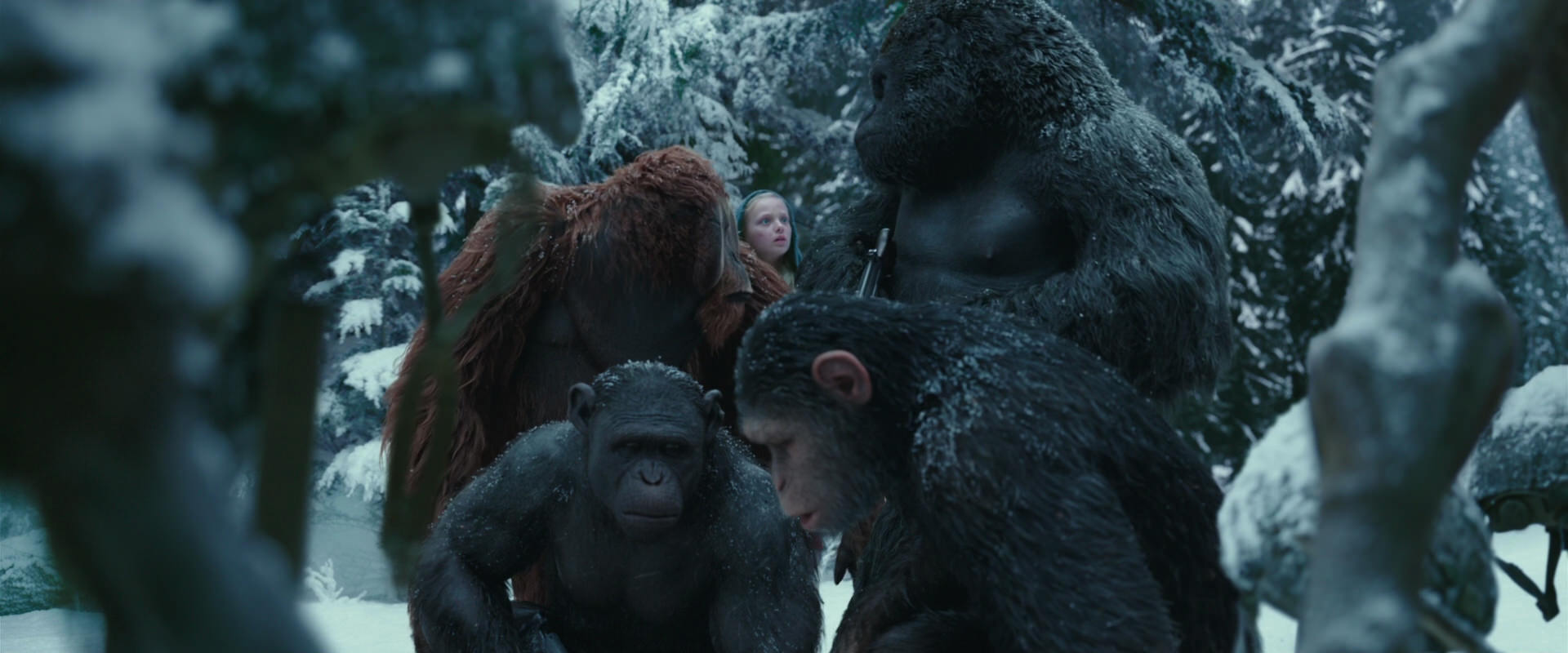 War for the Planet of the Apes (2017) movie still 4846