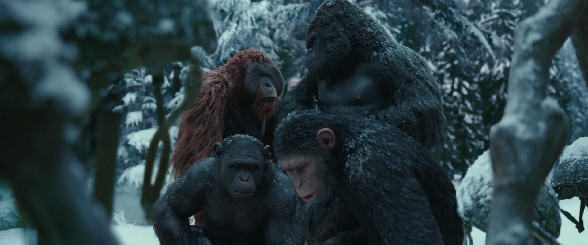 War for the Planet of the Apes (2017) screencap 4848