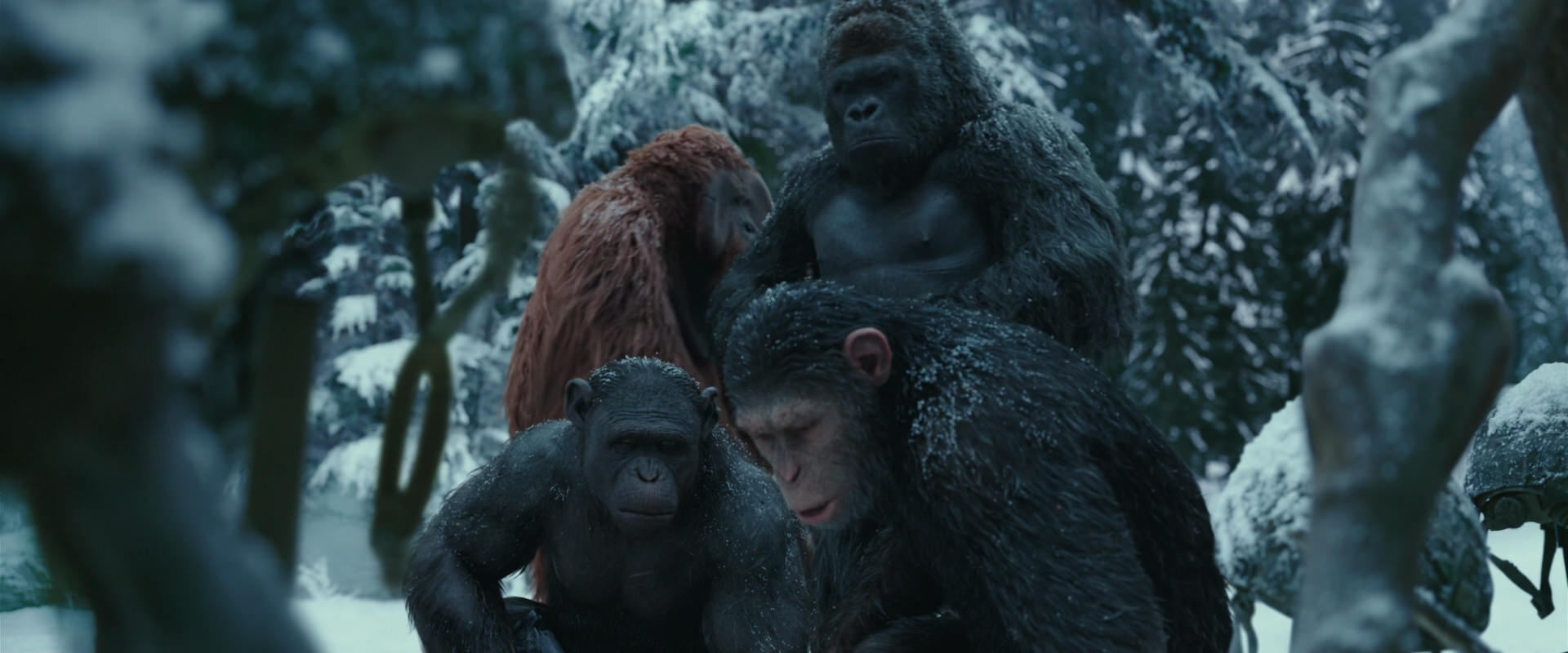 War for the Planet of the Apes (2017) movie still 4849