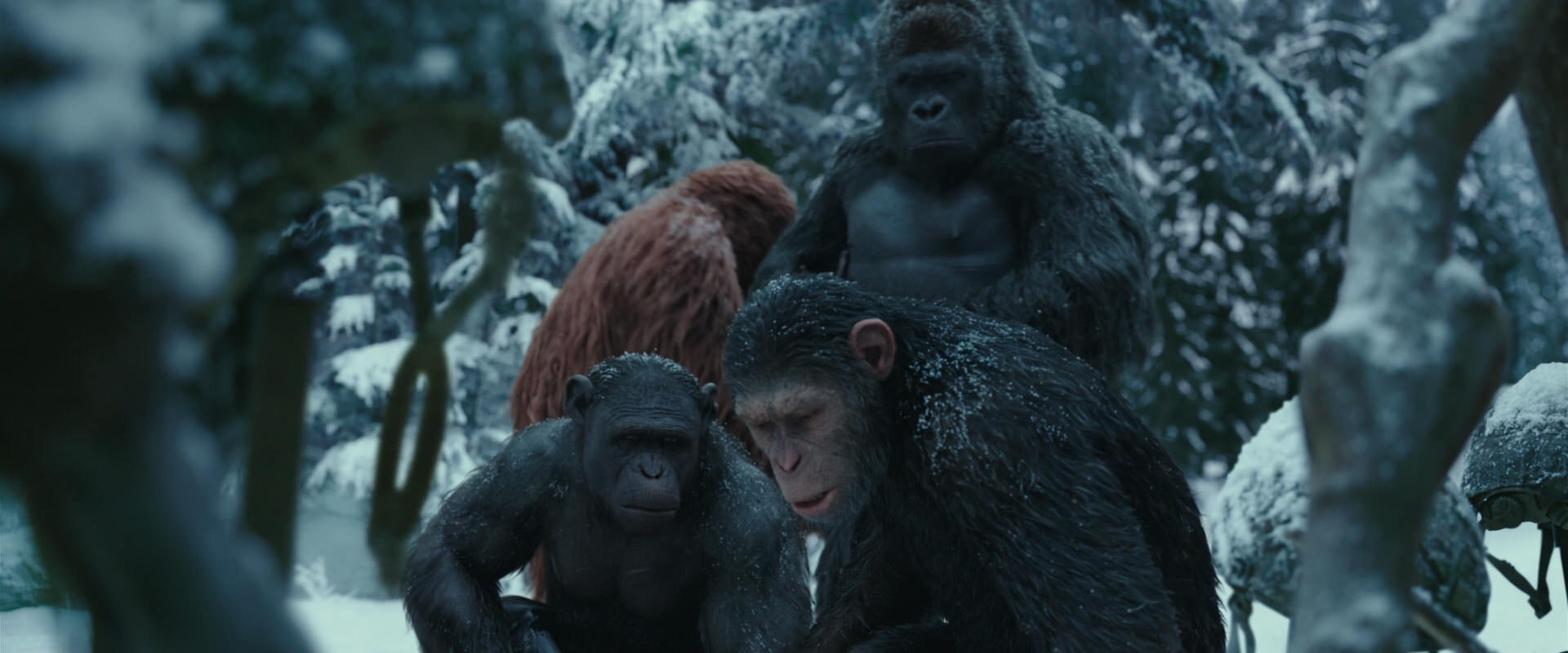 War for the Planet of the Apes (2017) HD screenshot 4850