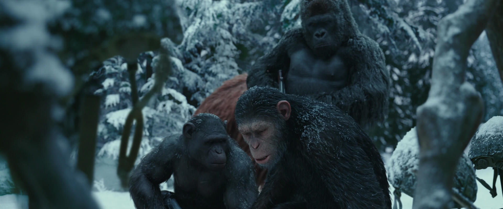 War for the Planet of the Apes (2017) screencap 4851
