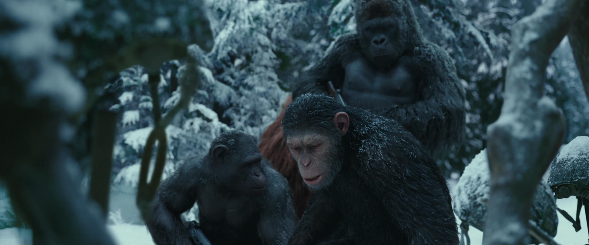 War for the Planet of the Apes (2017) movie still 4852