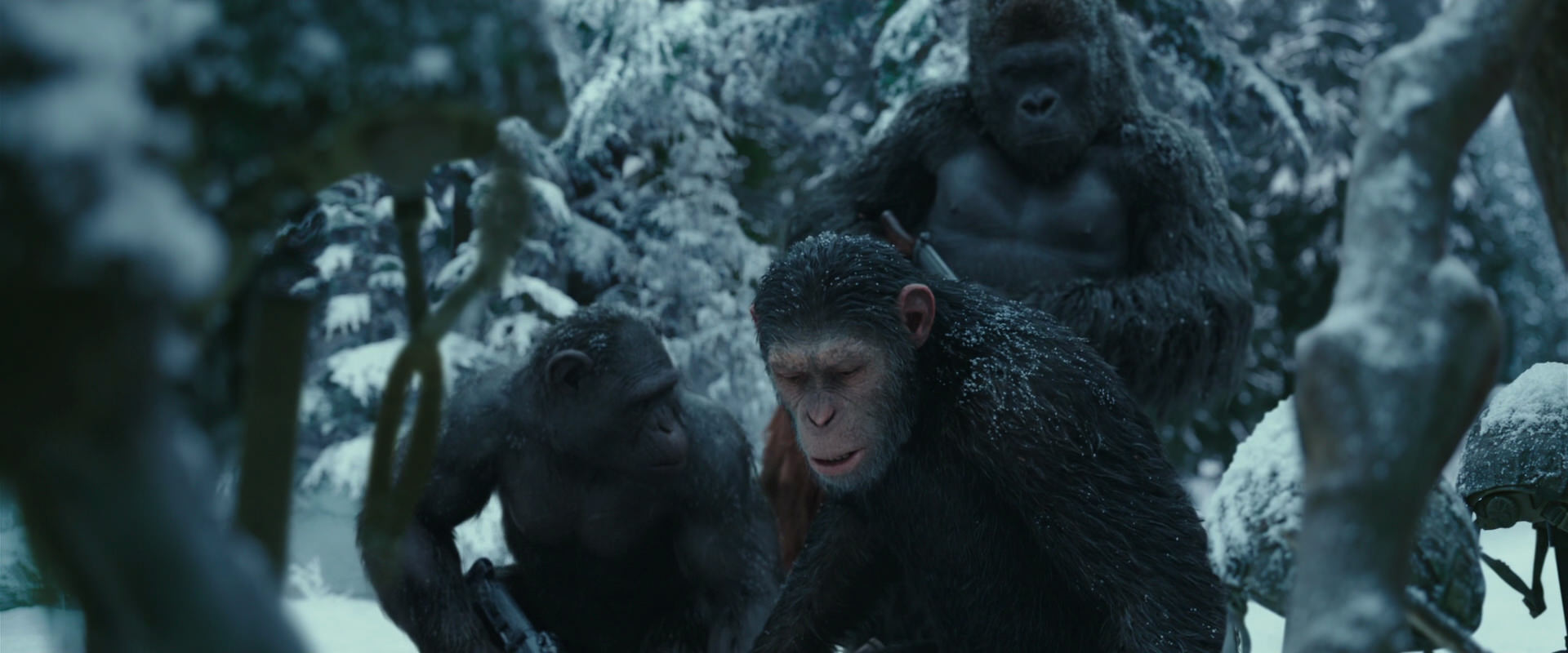 War for the Planet of the Apes (2017) HD screenshot 4853