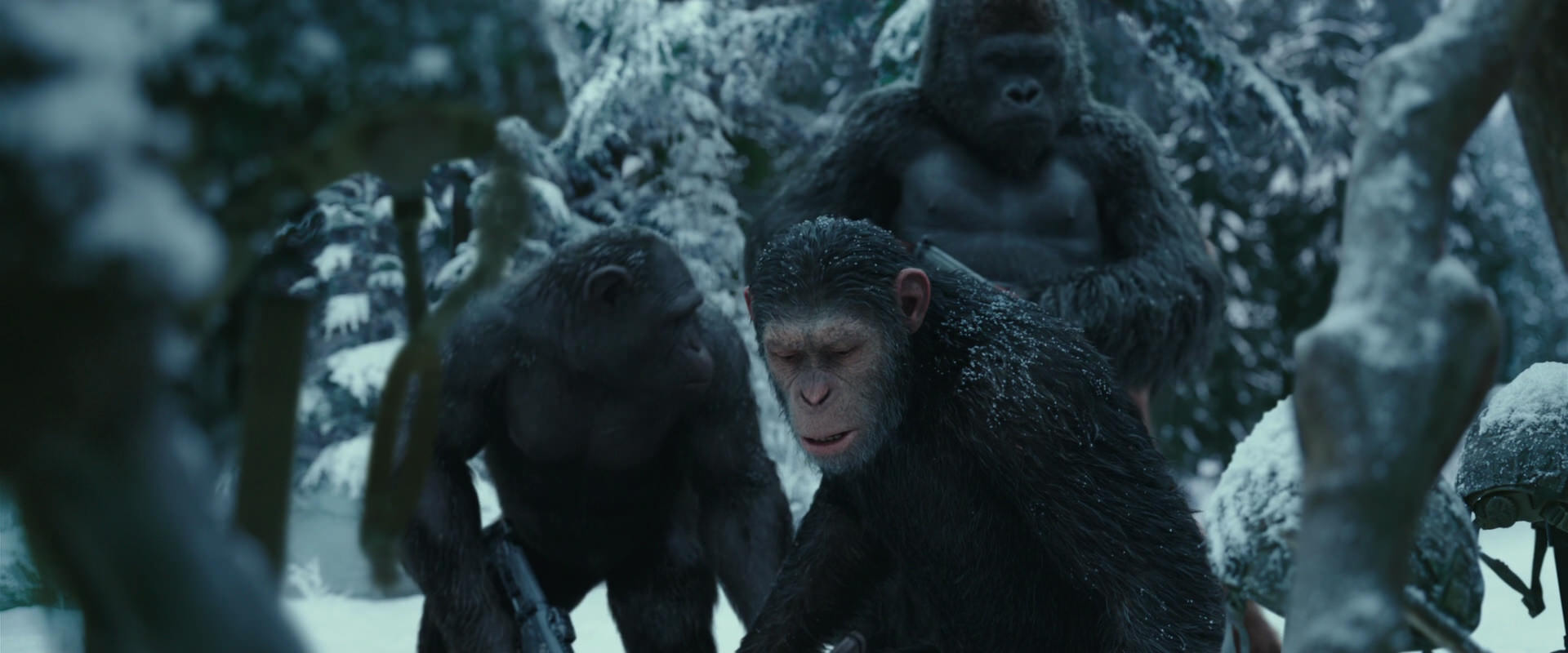 War for the Planet of the Apes (2017) screencap 4854